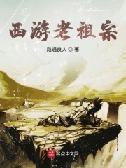 西游老祖宗封面