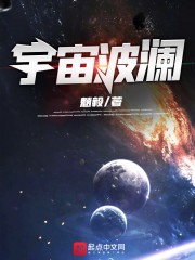 宇宙波澜封面