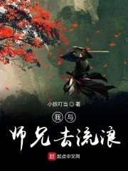 我与师兄去流浪封面