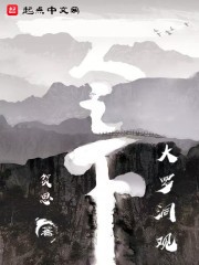 一人之大罗洞观封面