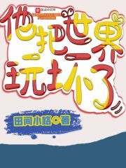 他把世界玩坏了封面