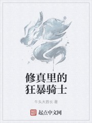 修真里的狂暴骑士封面