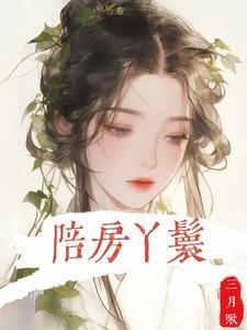 陪房丫鬟封面
