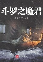 斗罗之魔君封面