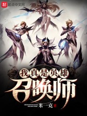 我真是英雄召唤师封面