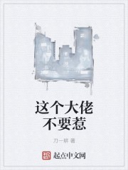 这个大佬不要惹封面