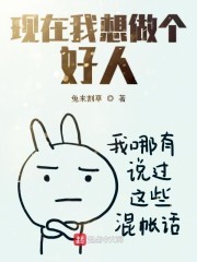 现在我想做个好人封面