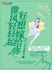 微风轻轻起好想嫁给你封面