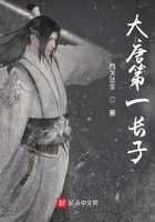 大唐第一长子封面