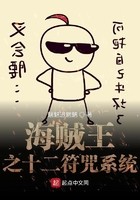 海贼之十二符咒系统封面