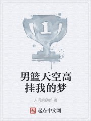 男篮天空高挂我的梦封面