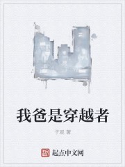 我爸是穿越者封面