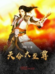 天命大至尊封面