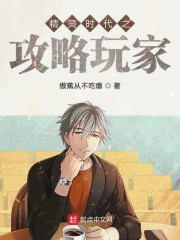 精灵时代之攻略玩家封面