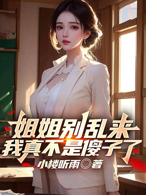 姐姐别乱来，我真不是傻子了封面