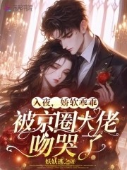 入夜，娇软乖乖被京圈大佬吻哭了封面