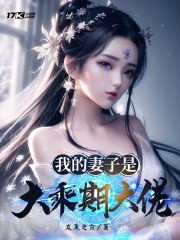 我的妻子是大乘期大佬封面