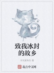 致我冰封的故乡封面