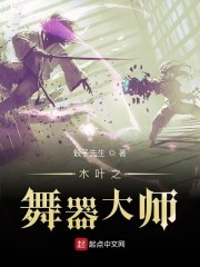 木叶之舞器大师封面