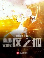 禁区之狐封面