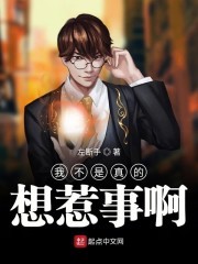 我不是真的想惹事啊封面