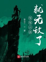 写写小说就无敌了封面